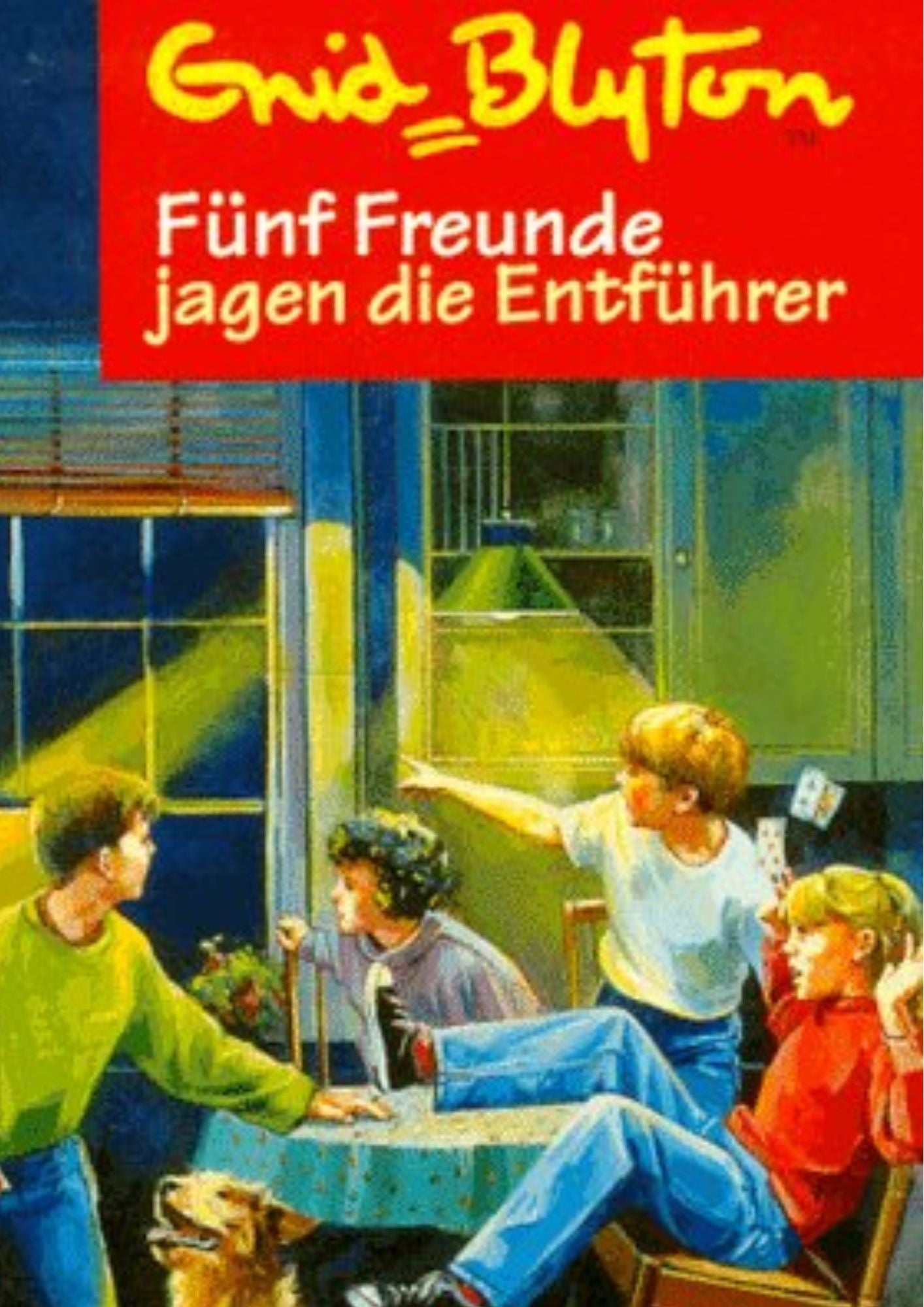 Enid Blyton: (Band 13) Fünf Freunde jagen die Entführer