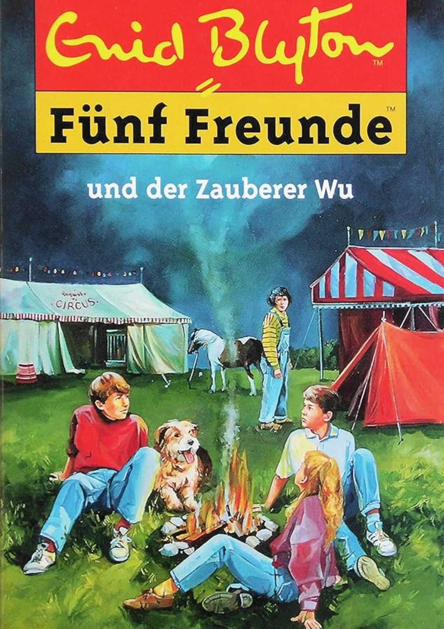 Enid Blyton: (Band 20) Fünf Freunde und der Zauberer Wu