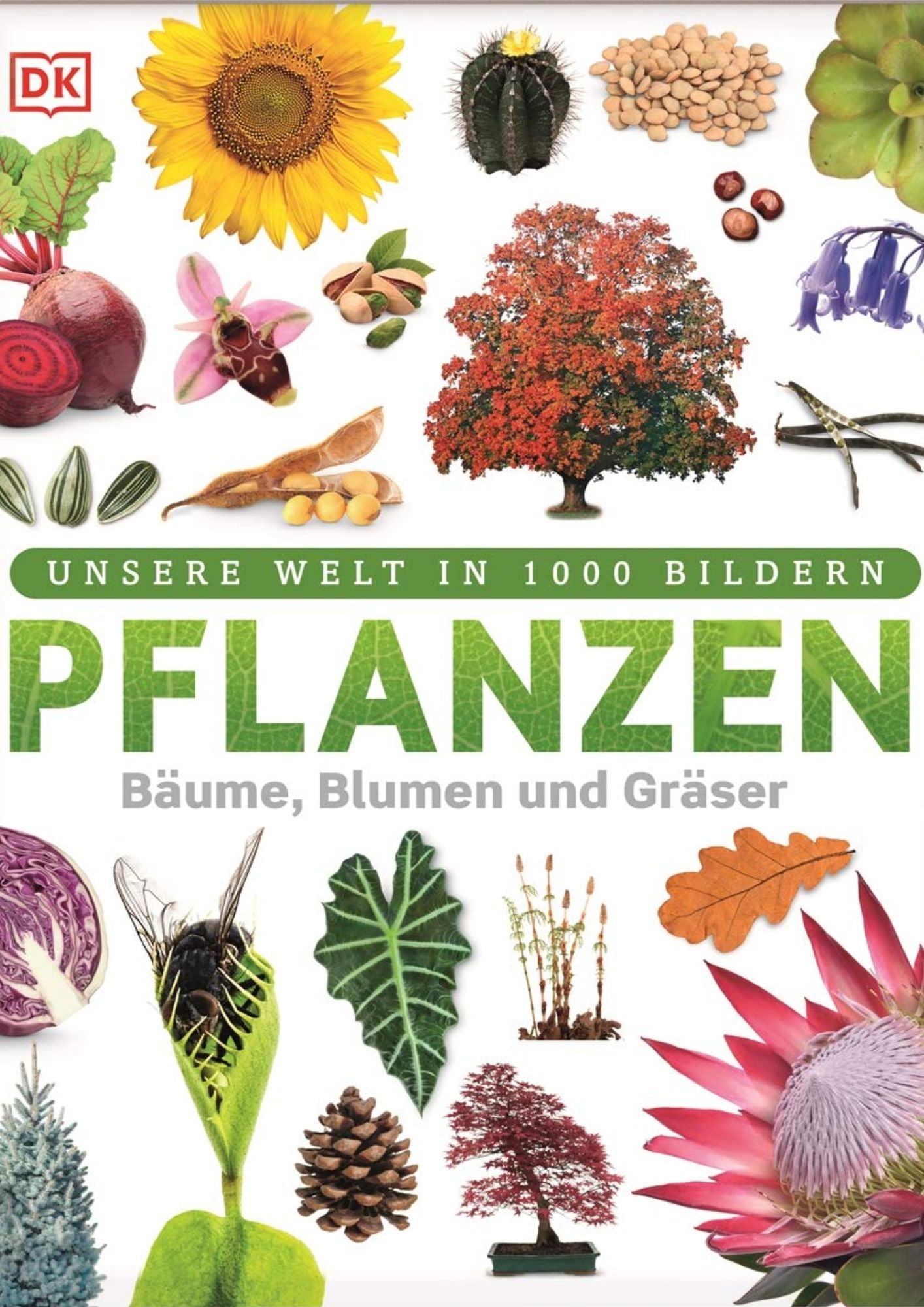 Unsere Welt in 1000 Bildern - Pflanzen / DK Verlag